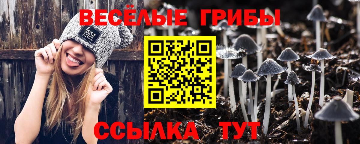Псилоцибиновые грибы прущие грибы Джанкой