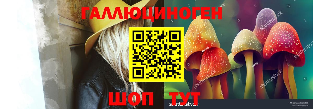 Псилоцибиновые грибы Psilocybine cubensis  Вход с VPN  Джанкой 